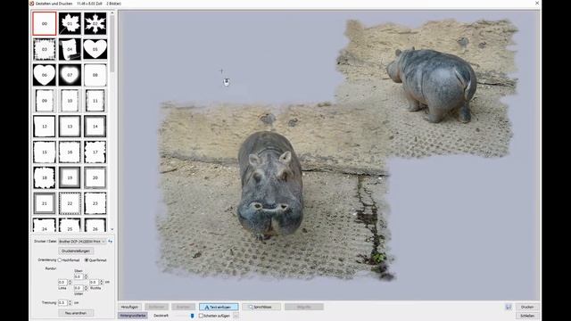 Faststone Image Viewer 6.5 #15 gestalten und drucken Deutsch смотреть онлайн