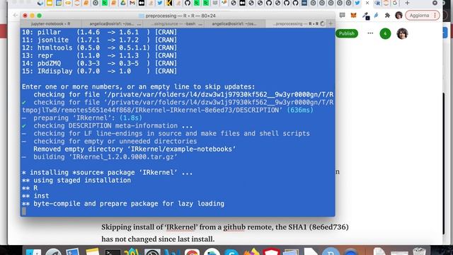How to Install R Kernel for Jupyter смотреть онлайн