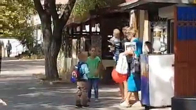 Скрипка Дарья  