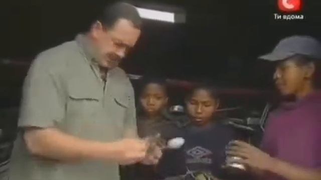 Мадагаскар, Китай, Панды, Сирия, Алеппо смотреть онлайн