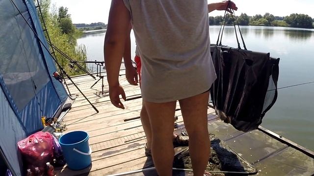 Карпфишинг на Павловском. Впервые на карповой рыбалке. смотреть онлайн