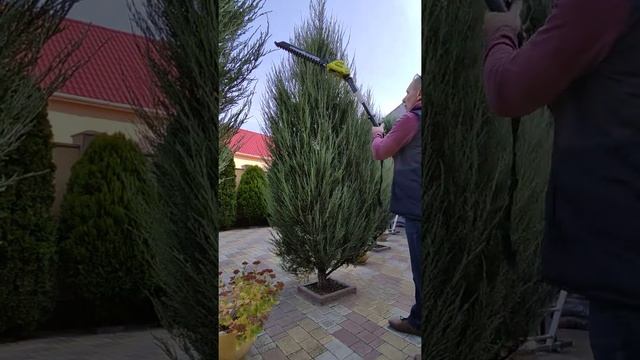 Кусторез аккумуляторный RYOBI OTP 1845