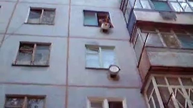 Де там та гаечка!? смотреть онлайн