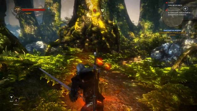 The Witcher 2 Assassins of Kings - 5.Леса Флотзама.Проблемы Тролля.Лечебница.Малена. смотреть онлайн