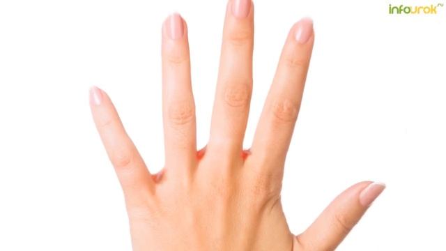 Распространение болезней. Пищевые отравления | Классные часы и ОБЖ #17 | Инфоурок смотреть онлайн