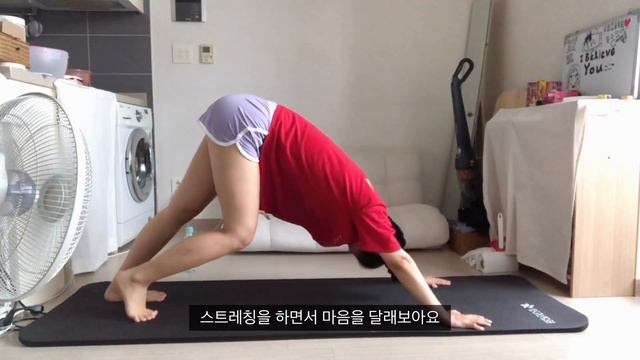 [sub|다이어트 브이로그] 맛있게 먹고 복근 찾기!!!|다이어터로 복귀|급찐급빠|홈트중독|다이어트레시피|다이어터|습관성형|식단관리|간헐적단식|diet vlog|whatieat смотреть онлайн