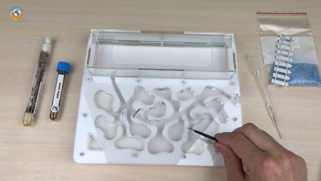 УЖАС! ИМ НЕ ВЫЖИТЬ?! МОЯ МУРАВЬИНАЯ ФЕРМА. ЗАБАВА ДЛЯ ДЕТЕЙ | СПЕЦЗАКАЗ смотреть онлайн