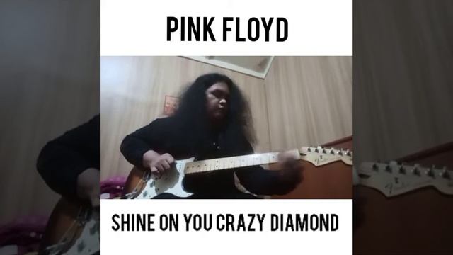 shine on you crazy diamond jam #pinkfloyd #davidgilmour #fender #stratocaster смотреть онлайн