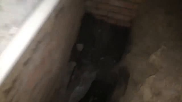 ВОЗМУЩЕНИЮ НЕТ ПРИДЕЛА \ МОЯ ПЕРВАЯ ПОСУДОМОЙКА \ ДОМ В ДЕРЕВНЕ смотреть онлайн
