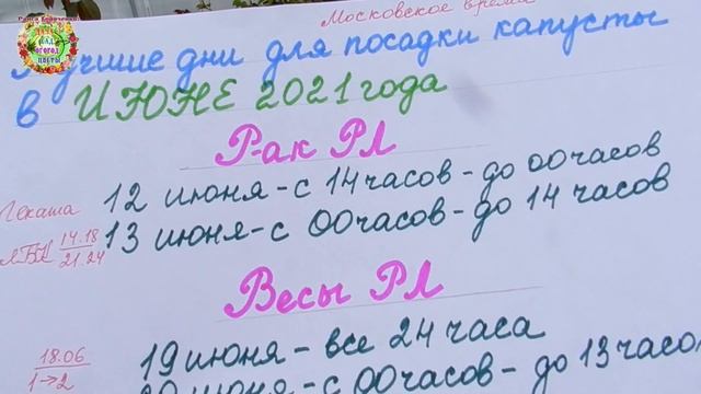 Агрогороскоп посадки капусты в июне 2021 года смотреть онлайн