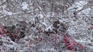 Такая долгая зима…