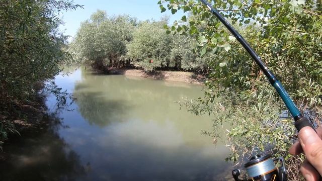 Щука на разливах р.Кубань. смотреть онлайн