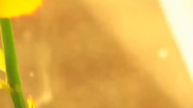 Хочу рисовать! смотреть онлайн