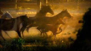 🎶🐎Увертюра «Встреча» (Из к/ф Цыган)