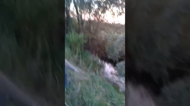 Полив картофеля смотреть онлайн