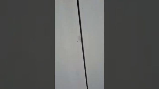 Запуск и отгрузка клиенту электростанции SDMO R110 (80 кВт) компанией ПДМ г.Тюмень смотреть онлайн