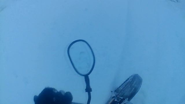 Приключение 3 АЛЬФ смотреть онлайн