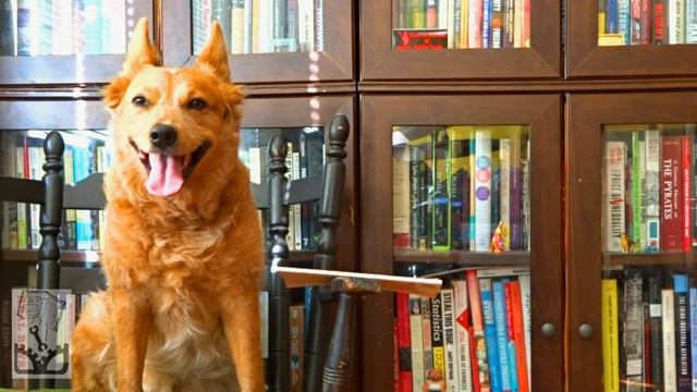 Socialism: Utopian & Scientific by Frederick Engels - Review (ft. A World To Win!) смотреть онлайн