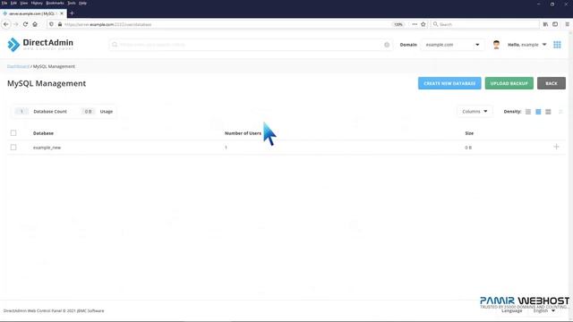 How to change a database user password in DirectAdmin PAMIR WEBHOST смотреть онлайн