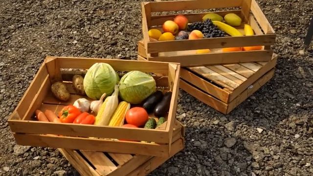 ОВОЩИ ФРУКТЫ РАЗНЫЕ ПРОДУКТЫ mp4 2 смотреть онлайн