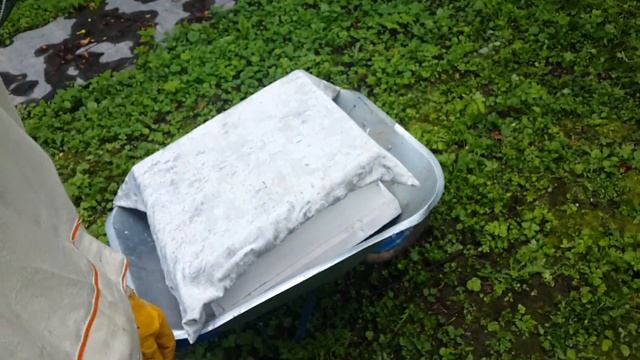 Отбор магазинных рамок с рутовских семей смотреть онлайн