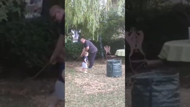 Видео,приколы,юмор,смех смотреть онлайн