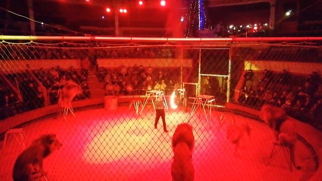 Одесса цирк смотреть онлайн