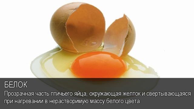 Белок. Толковый Видеословарь русского языка смотреть онлайн