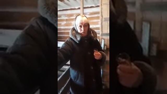 Жизнь в деревне) Хрипят курицы!!! смотреть онлайн