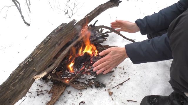 ? Одиночный поход в лес с ночевкой без палатки | #Бушкрафт с Татьяной Гордеевой смотреть онлайн