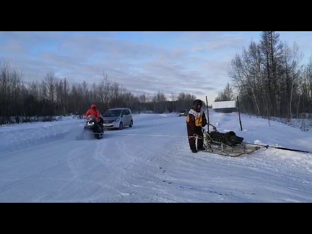VID 20200303 WA0001 смотреть онлайн