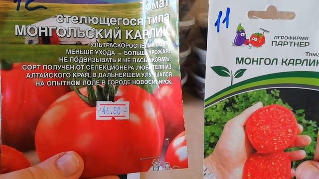 Низкорослые томаты. Лук севок. смотреть онлайн