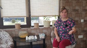 Цвет гребешка у кур - какой говорит о болезнях кур