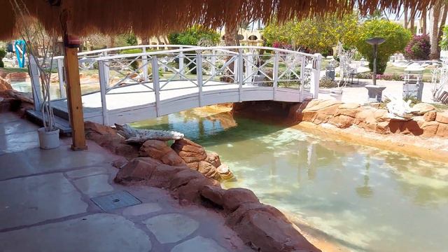 Romance Regency Club 5* Территория отеля (Египет, Шарм эль Шейх)