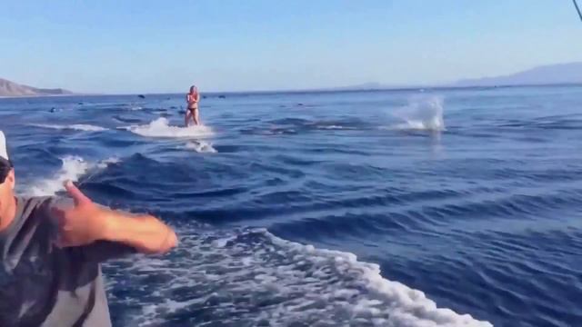 How to ski in the world and Russia? [Как катаются на лыжах в Мире и России?] смотреть онлайн