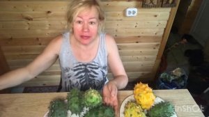 Кивано!как вырастить.