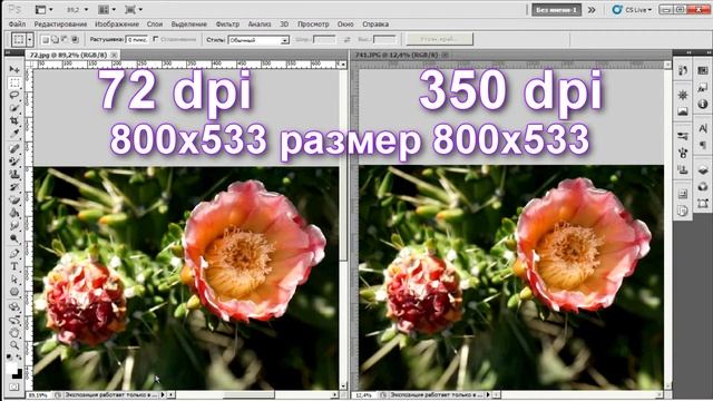 Adobe Photoshop. Разрешение изображения и размер файла смотреть онлайн