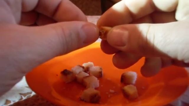 Уловистая насадка из корочки хлеба . смотреть онлайн