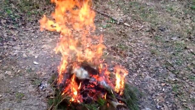 ТОП 5 эффективных способ избавиться от комаров!! Как избавиться от комаров? смотреть онлайн