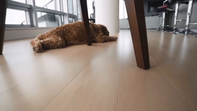 CYBERPUNK 2.0 NEW CHANGES, NVIDIA'S NEW GRAPHICS TECH & MORE смотреть онлайн