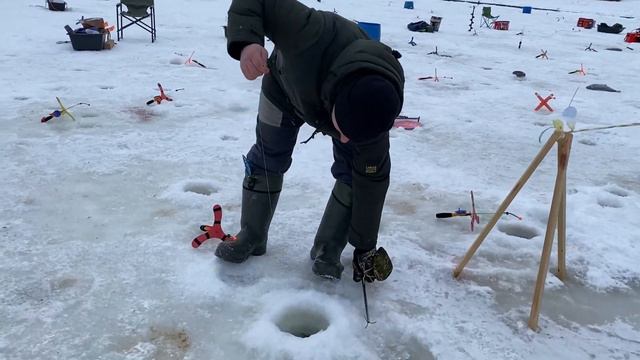 Поимки форели на пассивные снасти смотреть онлайн
