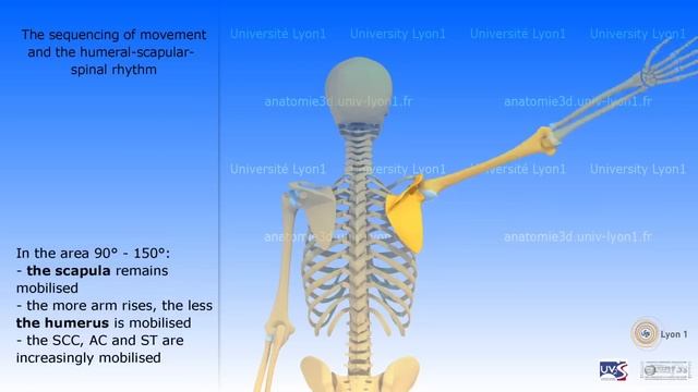 The Shoulder смотреть онлайн