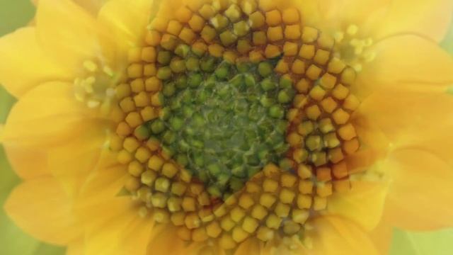 СВЕТ ЖИЗНИ - часть первая смотреть онлайн