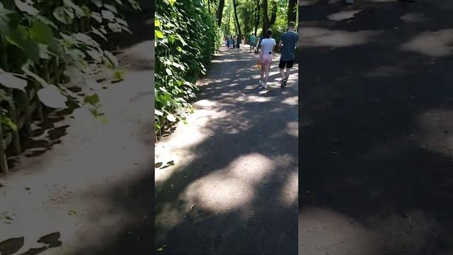 Прогулка по Летнему саду. Петр Первый, Анна Ахматова, Пушкин и Павел Первый. смотреть онлайн