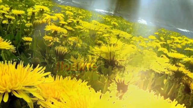 Доброго утра Вам!