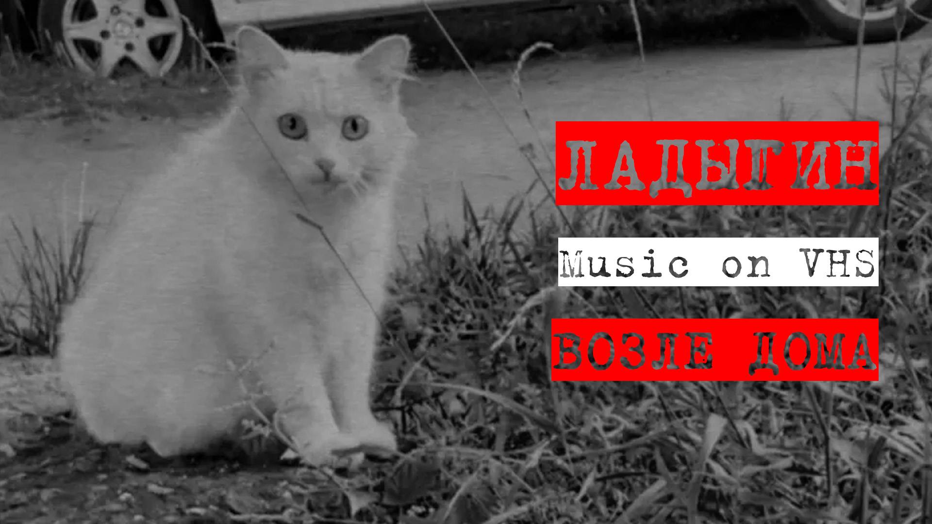 НАГОВИЦЫН |ВОЗЛЕ ДОМА| ЛАДЫГИН