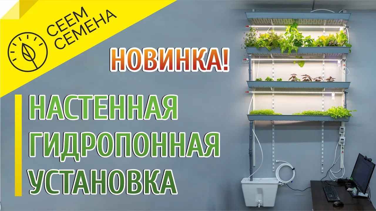Модульная гидропонная установка для выращивания зелени на любой стене! Новинка! смотреть онлайн