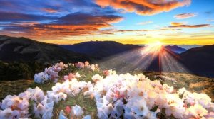 САМЫЕ КРАСИВЫЕ МЕЛОДИИ Весны!Saxophone? Тёплый Бархатный Саксофон Красиво Звучит для Души...