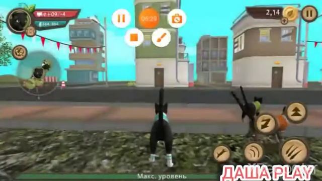 как в зломать Cat Sim и Dog Sim