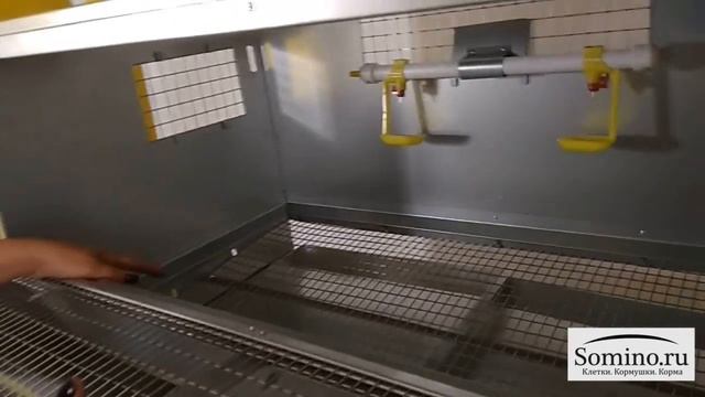 Обзор клетки для кур-несушек Сомино 98 на 12 голов смотреть онлайн